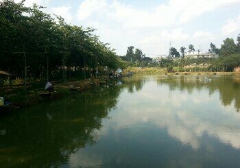 海子旧村鱼塘