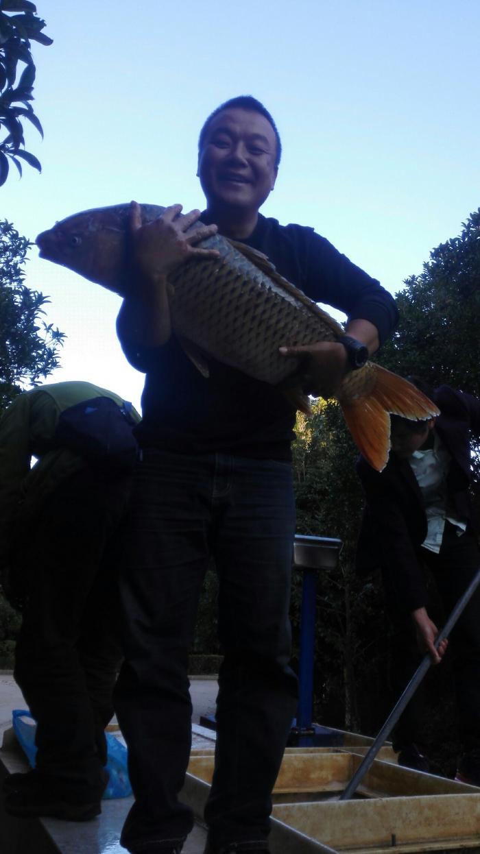 金山生态钓鱼场