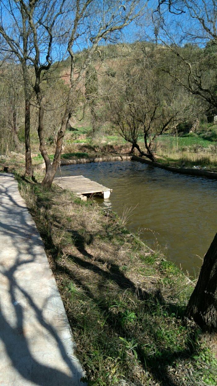 王芬农家乐钓鱼
