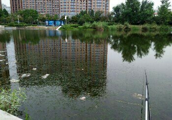 振兴垂钓园
