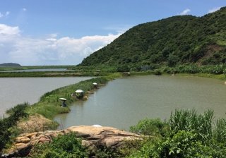 海湾生态休闲农庄