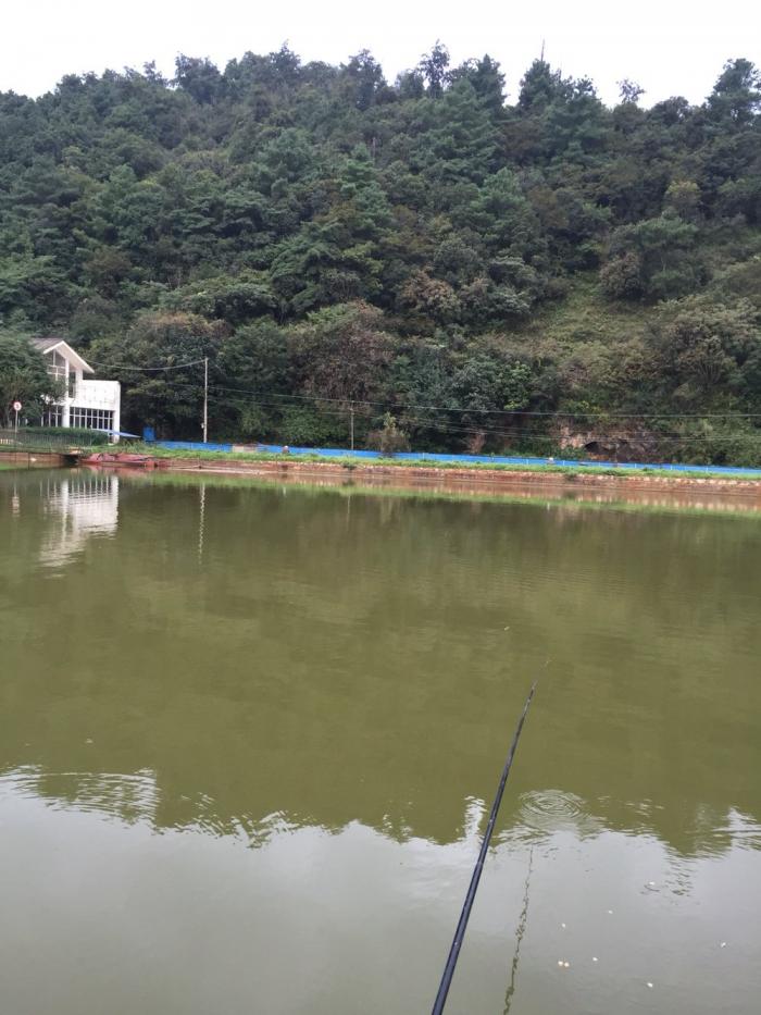 二龙湖钓场客来鱼庄