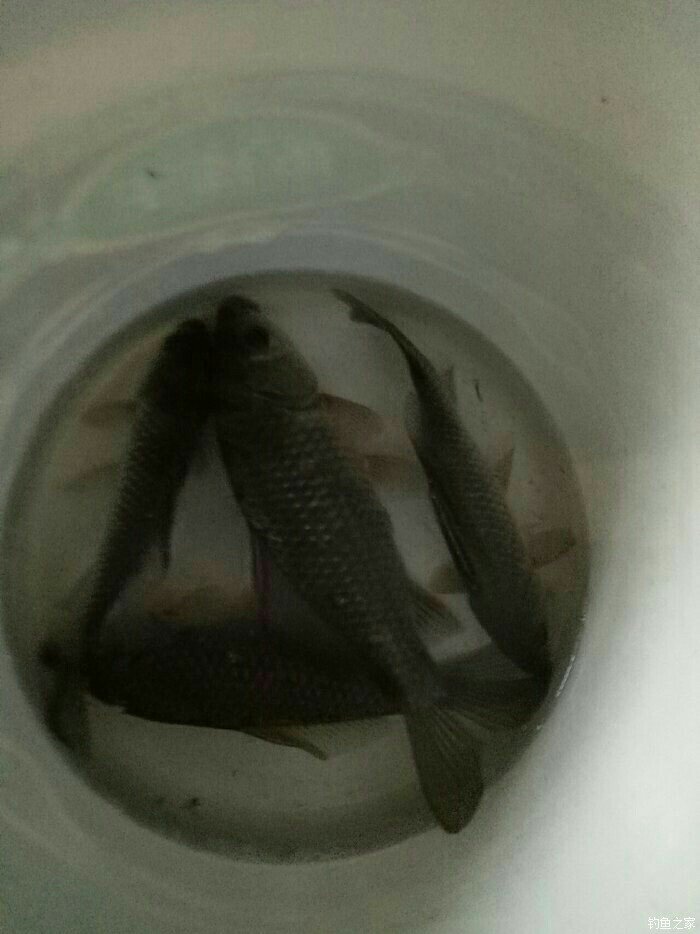 青龙大沟莫村段