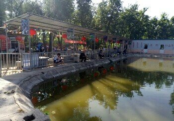 济南黄河森林公园练钓池