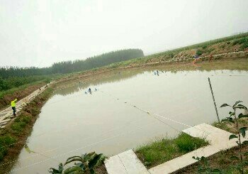 白墙生态园垂钓园