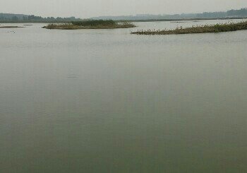黄河东城浮桥段
