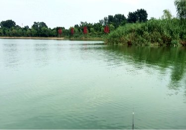 嘉祥人工湖南湖