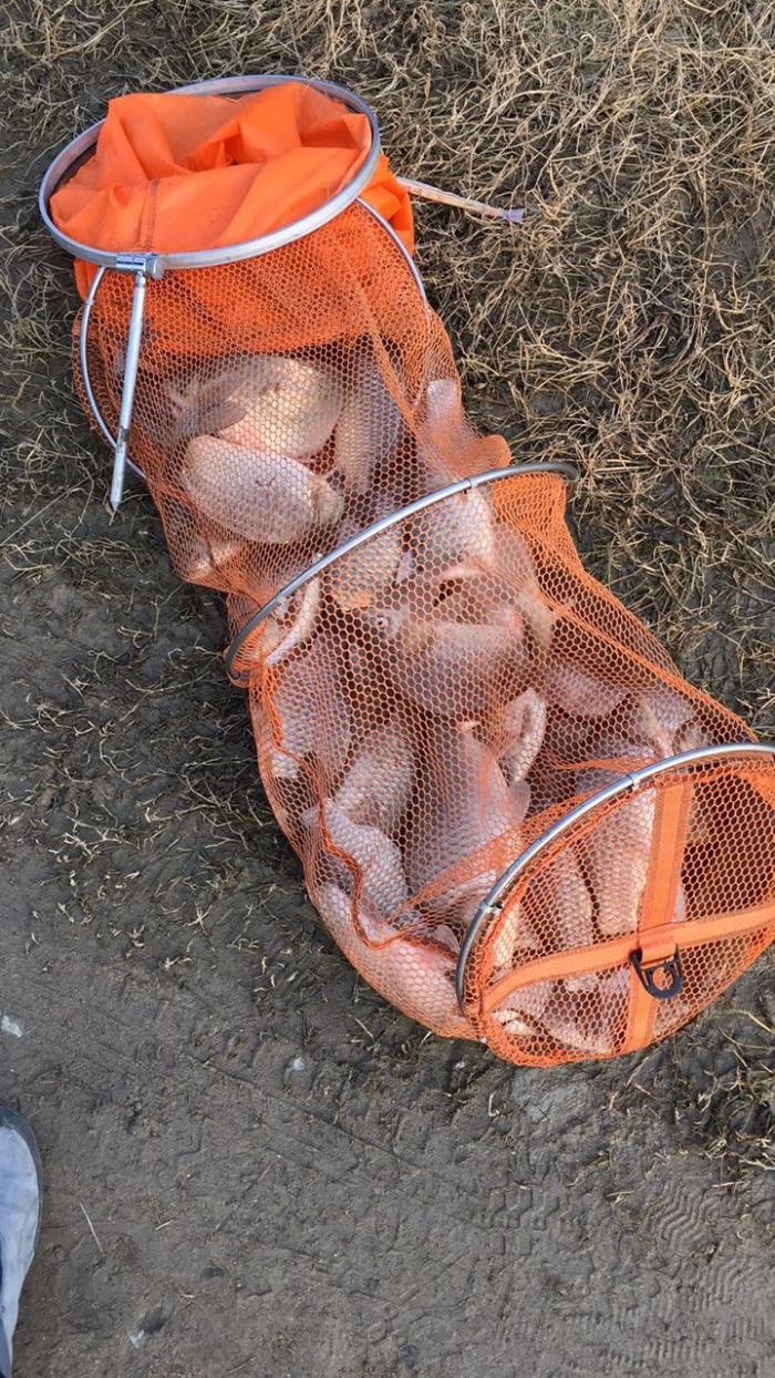 钓鱼塘垂钓中心