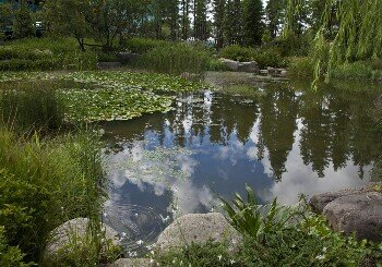 滨湖湿地公园