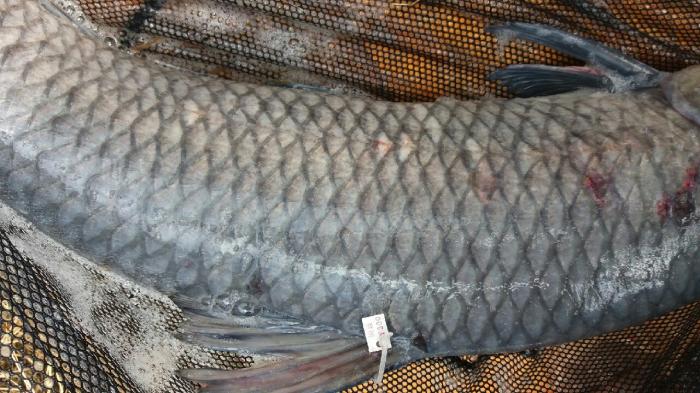 渔焱垂钓俱乐部