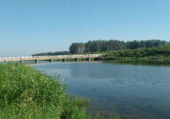 八河（沱河汊河）