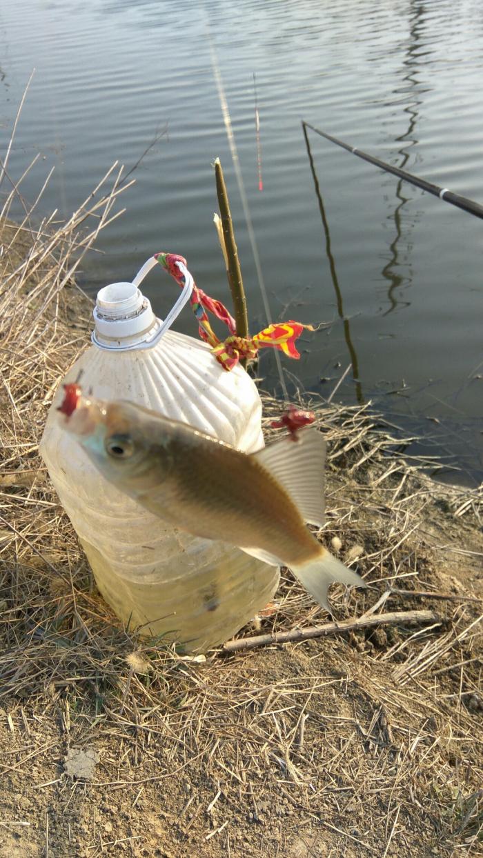 食品学院西门小河