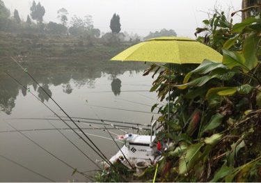 东岳桥大河