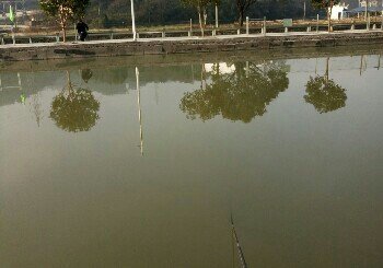 鸿运竞技垂钓园