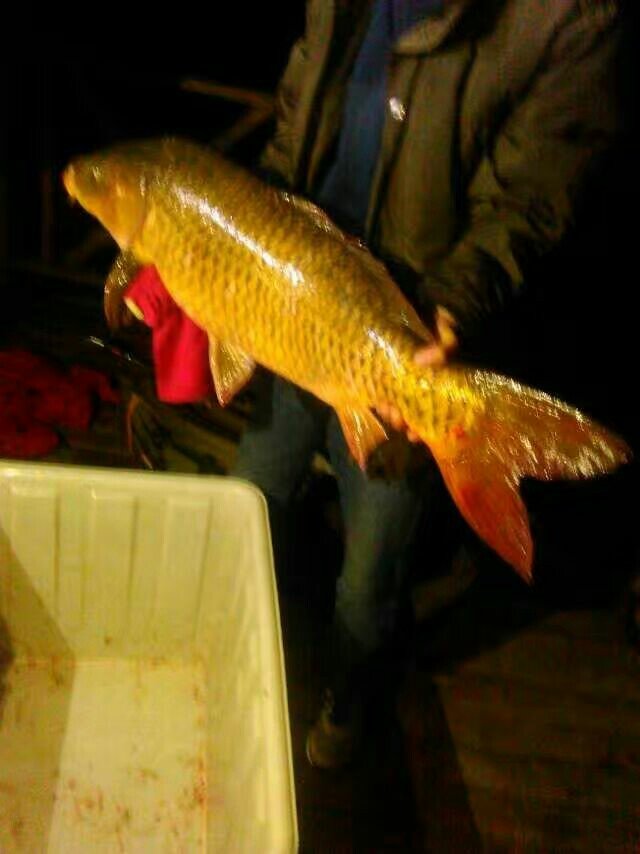 龙昌生态垂钓园