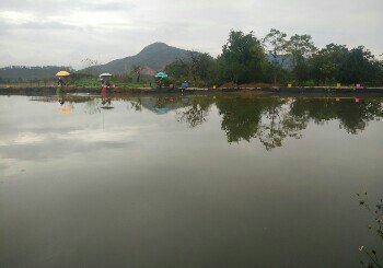 治平清水鱼钓场