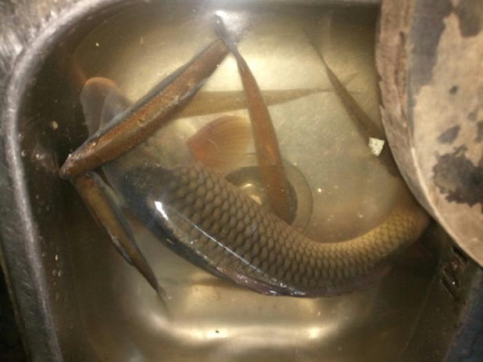 龙胜大云电站水库