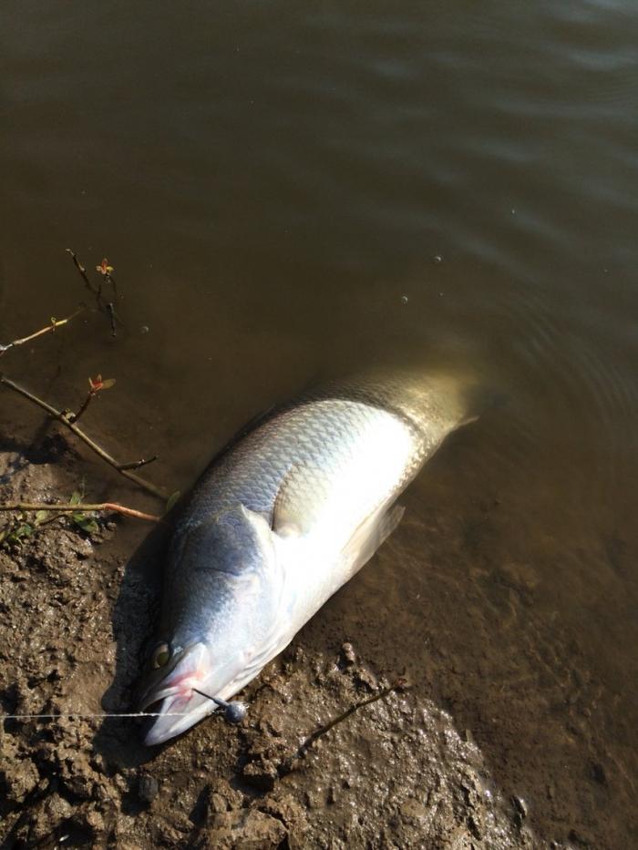 宾悦路亚手感塘