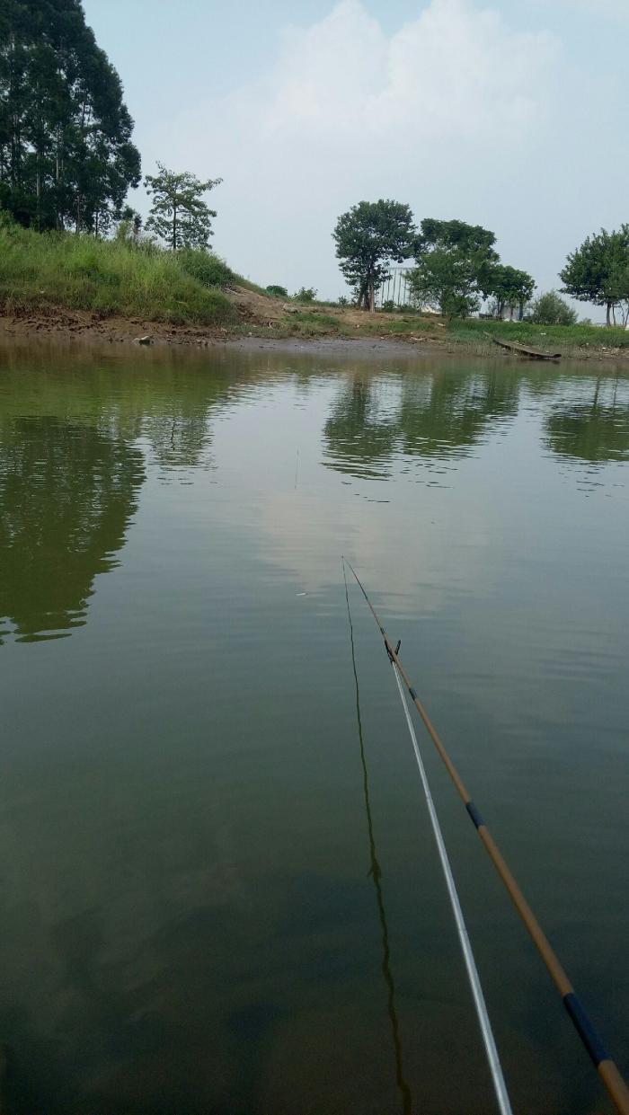 大闸菊花弯水闸