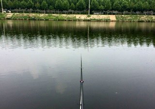 卧龙老迟垂钓园