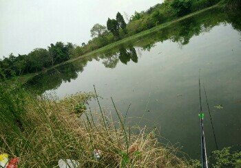 凯江太平廊桥钓场