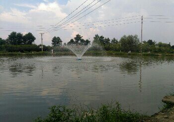 回澜十大队钓鱼塘