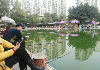 森林公园垂钓园