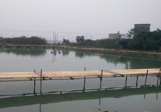 鑫园黑坑垂钓园