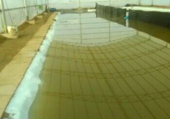 小杨村大棚垂钓