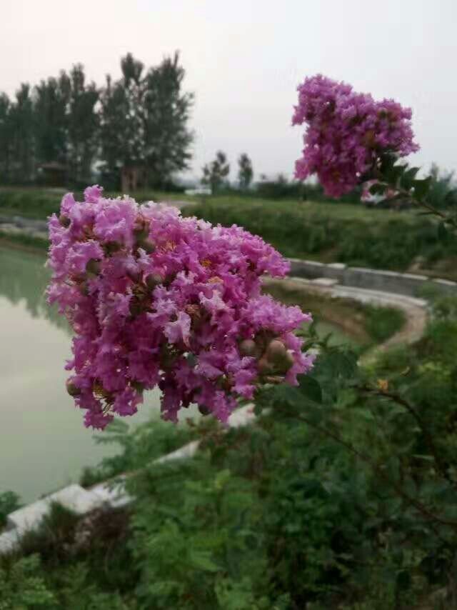 席家花园垂钓园