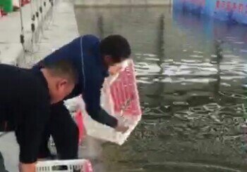 滨州黄河垂钓园