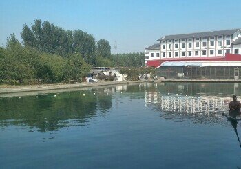 邹平明集高老庄休闲垂钓园