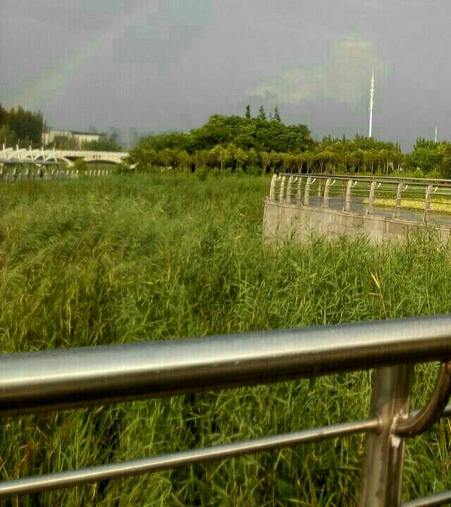 故黄河宿城区政府段