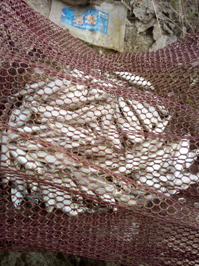 淮河大河湾钓厂