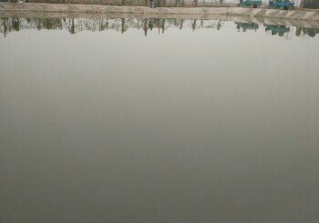 岳南村果园鱼塘