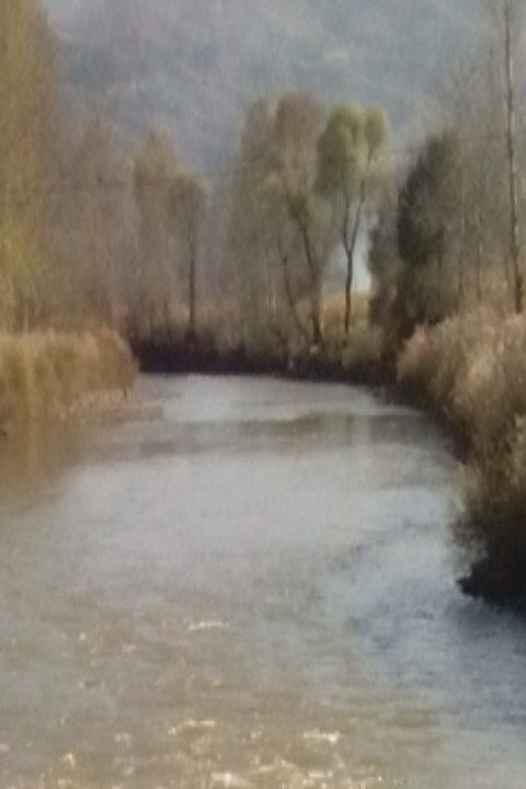 李家营高速口（姚栅子村口）