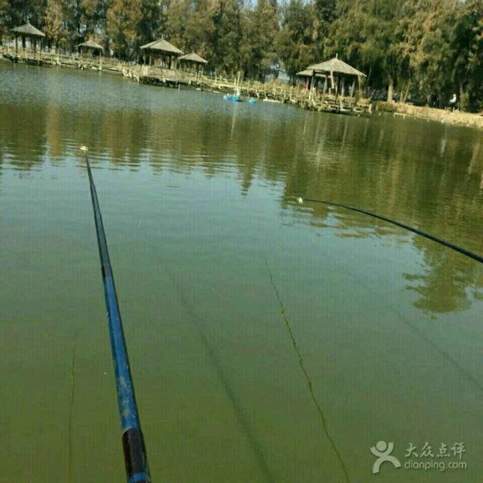 台州鱼香园垂钓