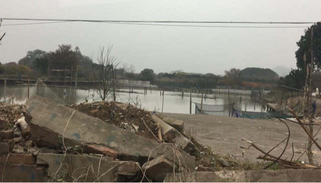 鸡山村鉴洋湖鱼塘