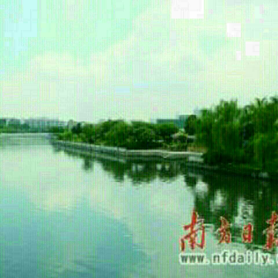 潮白河潮兴大桥段