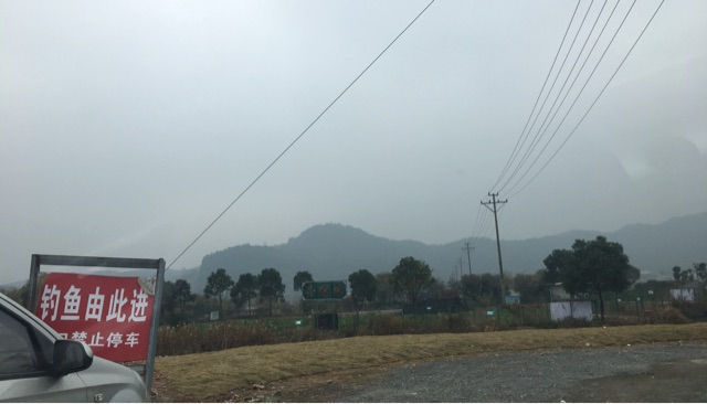 院桥中心小学附近鱼塘