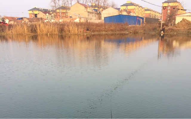 ‍泗县‍三中‍西