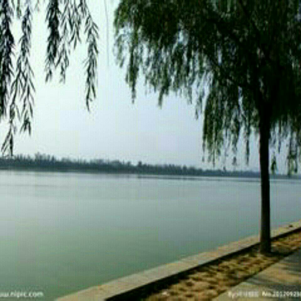 子牙河西站西大桥段