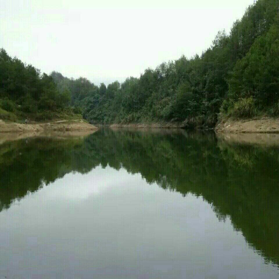 中溪沟鱼塘