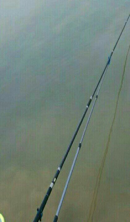 黄家湾竞技黑坑