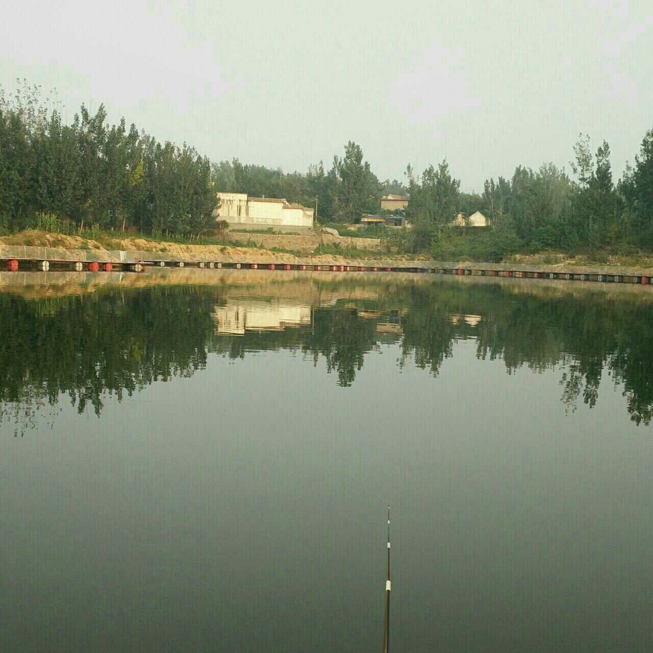 青云湖有机鱼垂钓中心