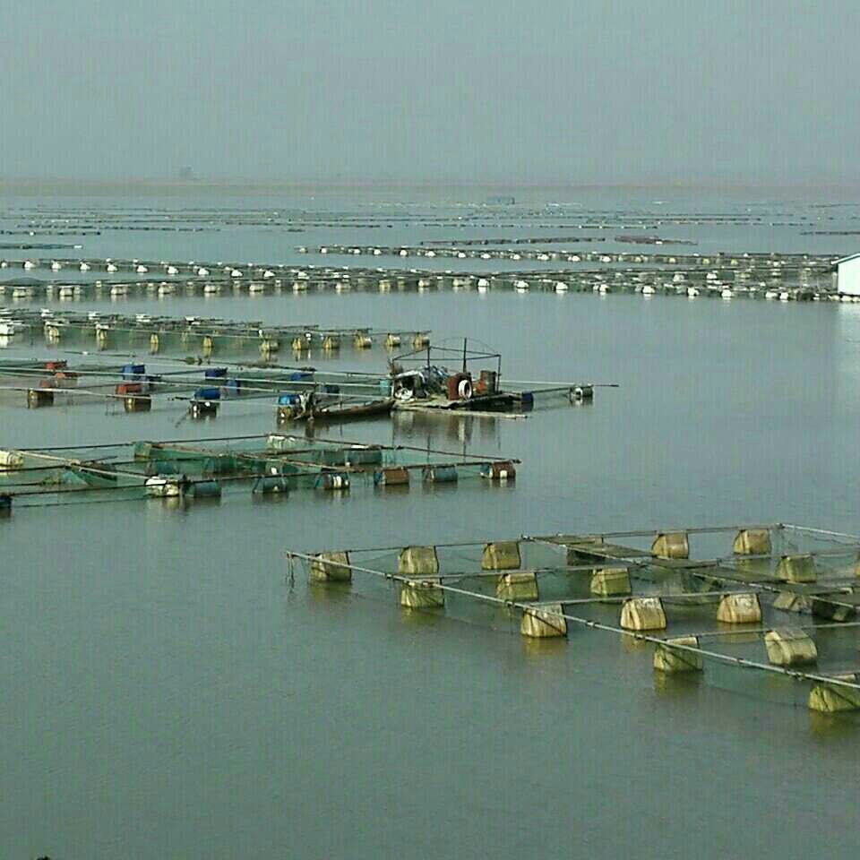 石首王家台(鮰鱼湾)