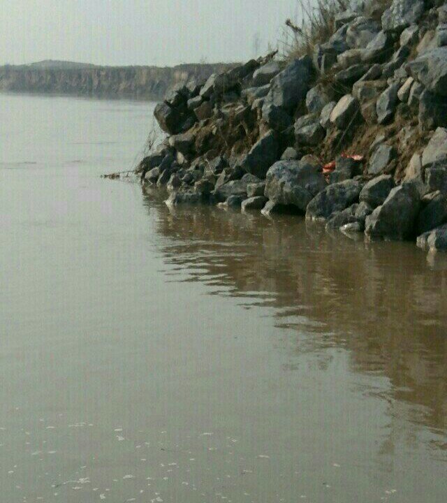黄河野钓