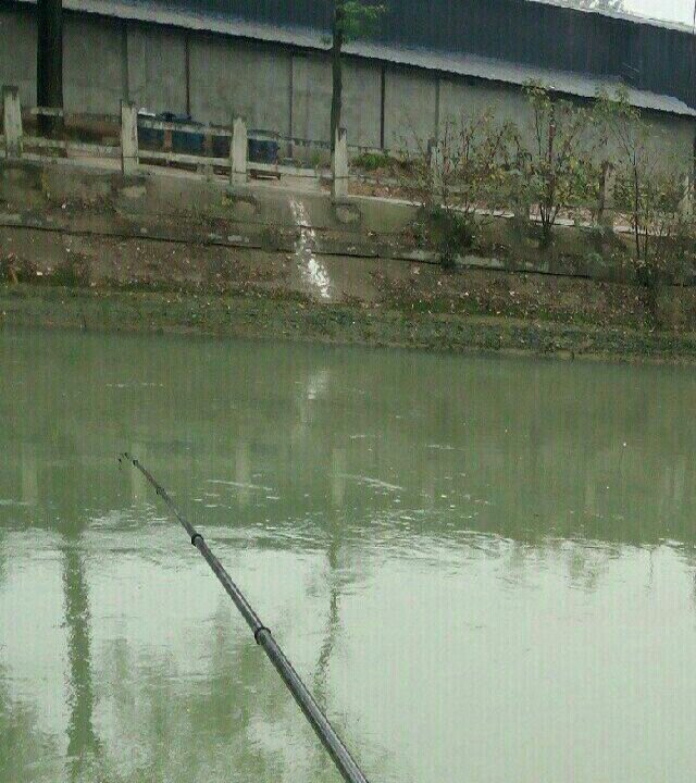 南河滨江公园钓场
