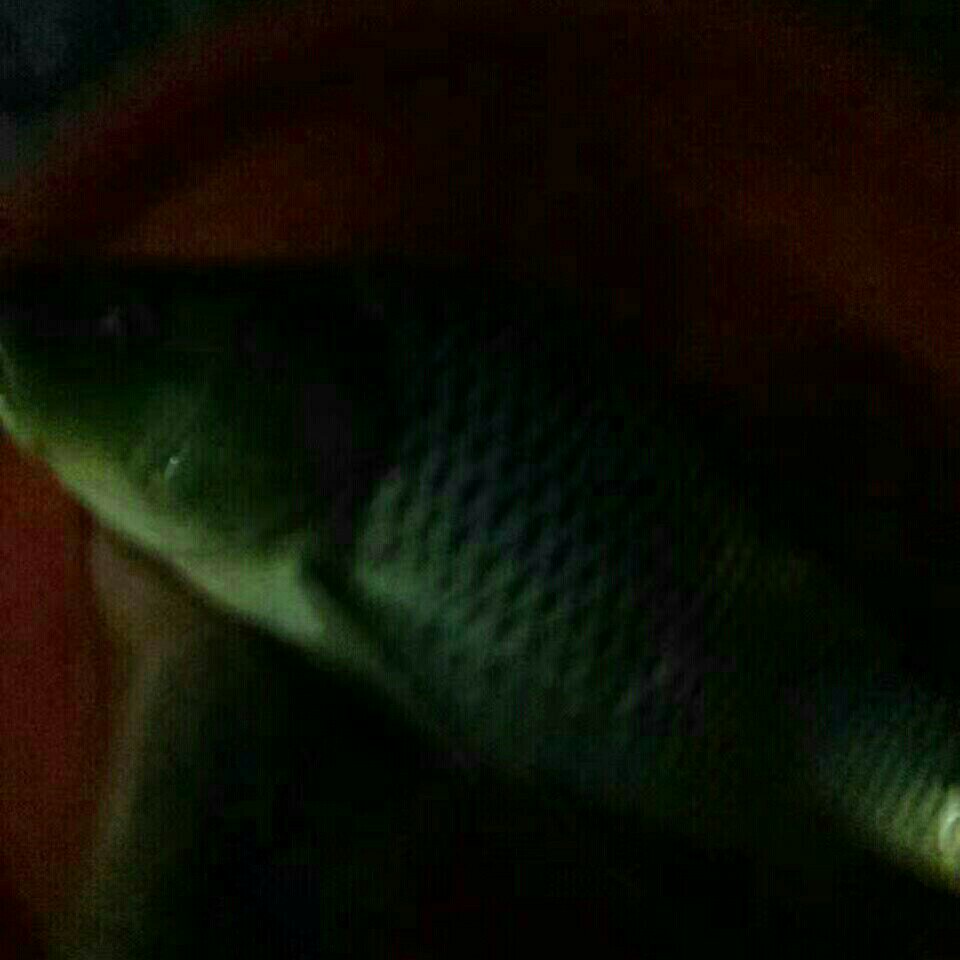 大运河彭湖沙塘