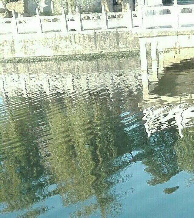 镜湖公园人工湖钓场